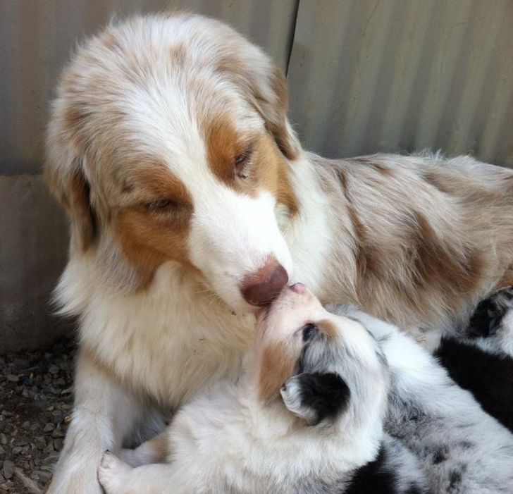 4cd02a52388b8145c14f597d30