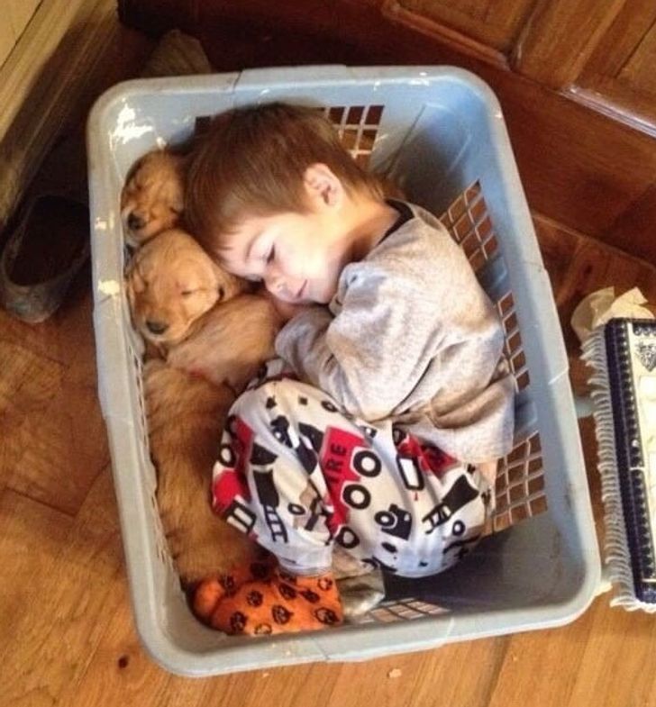 4cd3485b26931c019e697e9273