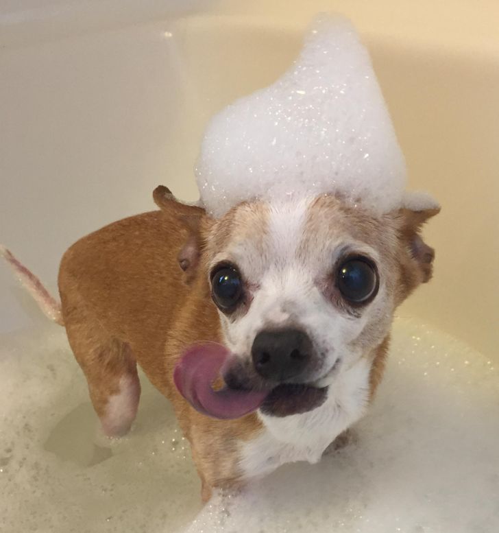 4cd62853b7963fd9209b0c9668