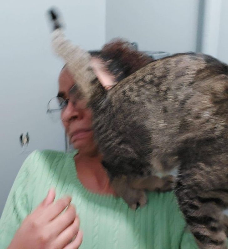 4ce3a159c8951ab100891002f1