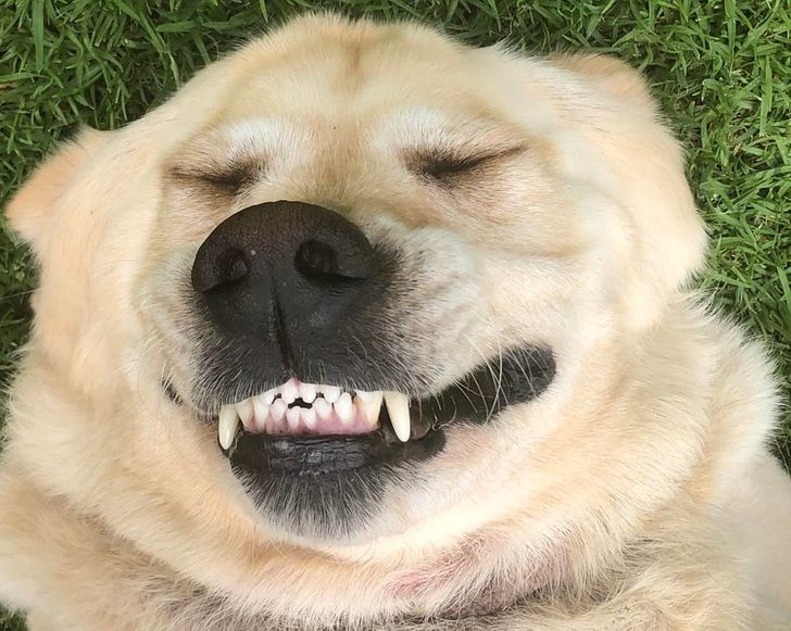 4ce97b5a8fb32cd1c381c7e7da