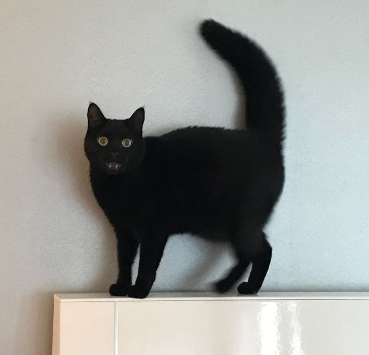 4cee515523b9eeb12e70e6ae76