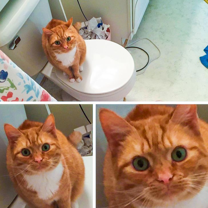 4cf50a5679bda5a7a709e28b5c