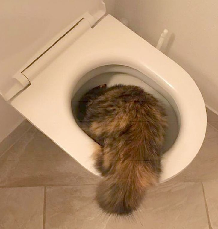 4cfb885ec4b915a6af061112a5