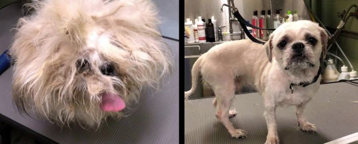 4cfdbb53af8a5f243be1028902