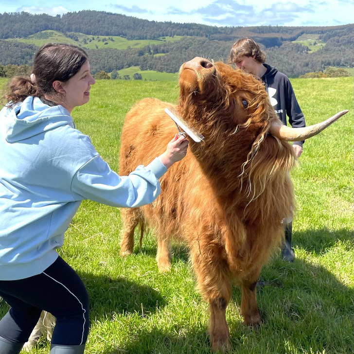 4d079b53519ebba7247e166276