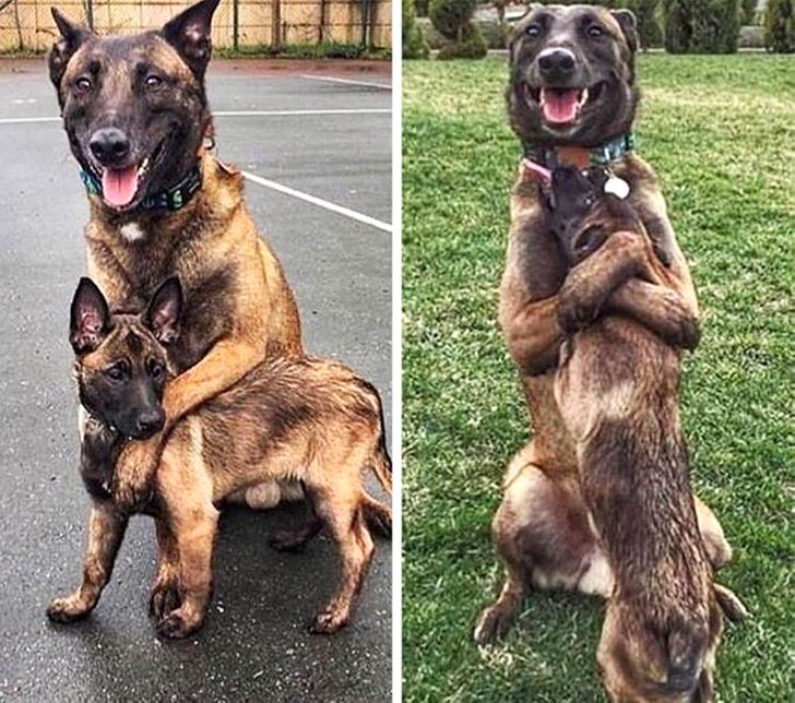 4d10b951fd91b3d9e54b33abca