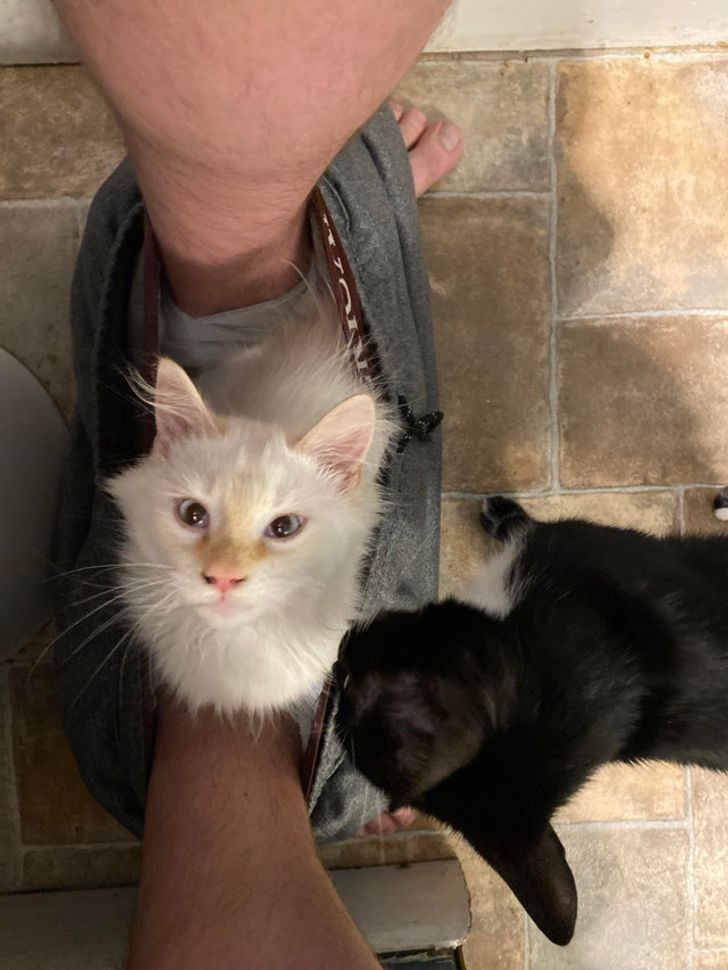 4d18815fb7abaf69d0408ce862