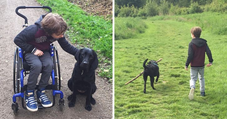 4d196f503983fbdecd91803352