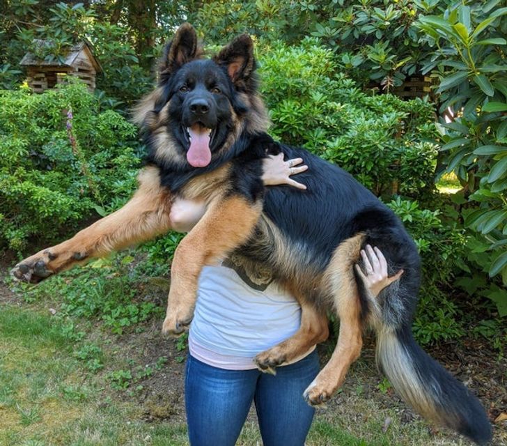 4d1b365b42a6f1e176c51aef99