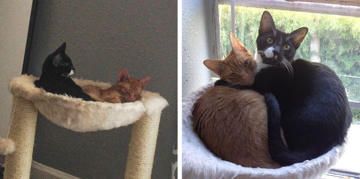 4d20585b049b974c838177e3ea