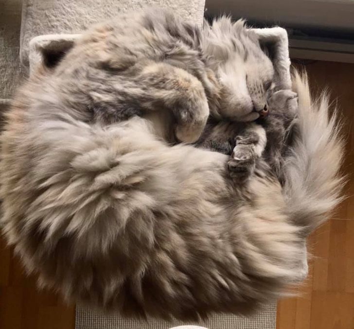 4d23f252aa8a2c8faa33c674e7