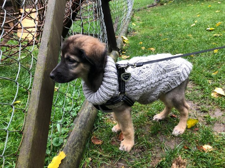 4d3d3c59a593cc59b10b1f3154