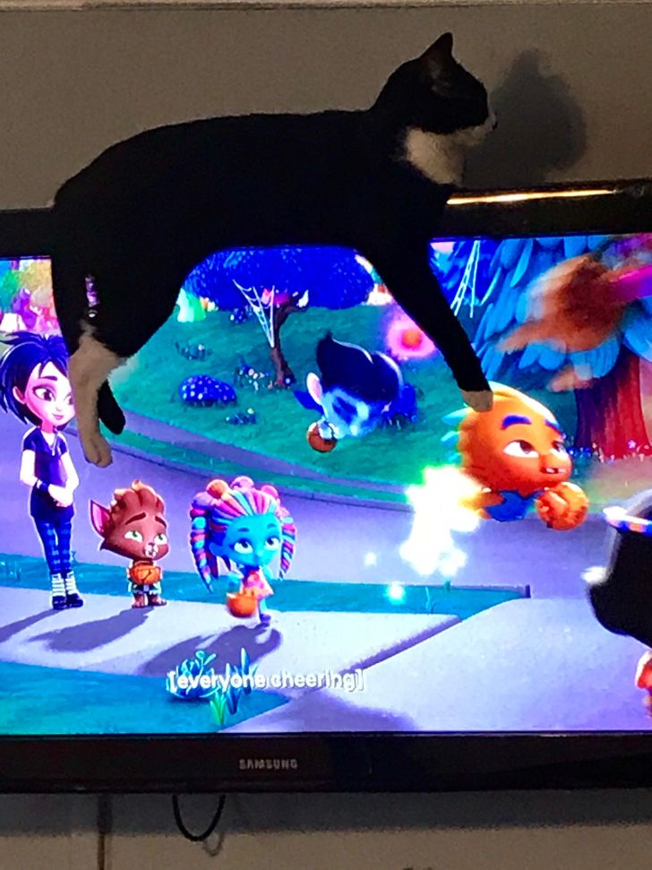 4d3f33507ba90aaa3ab8492061