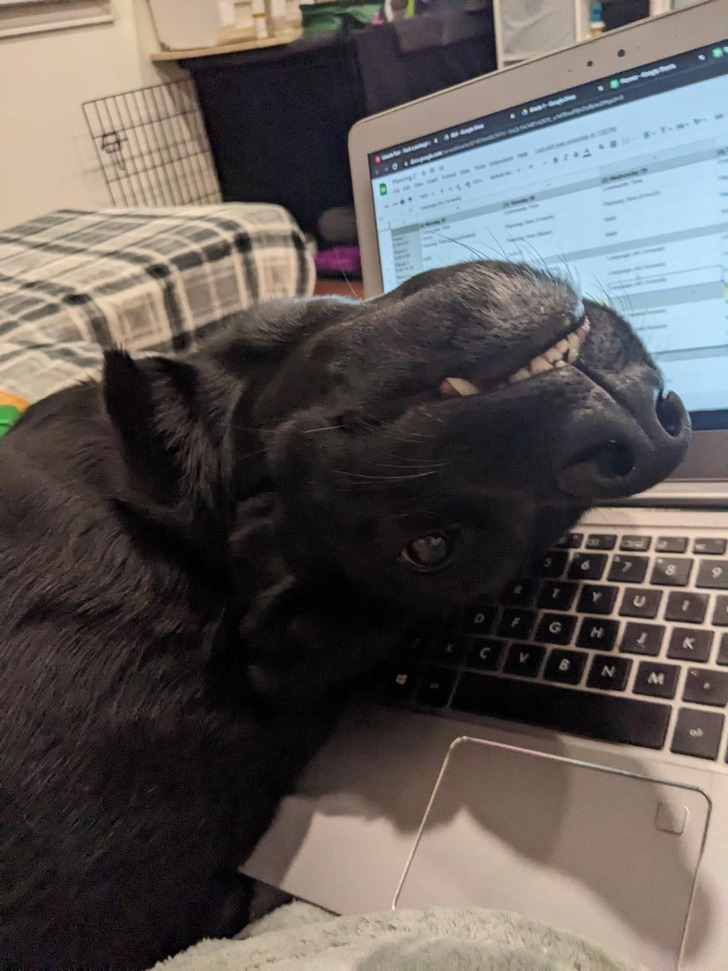 4d43935bb0b60d6c9e0b34a64e 4d43935bb0b60d6c9e0b34a64e