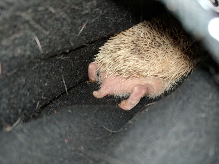 4d4b1054778922ef02373f5ddb