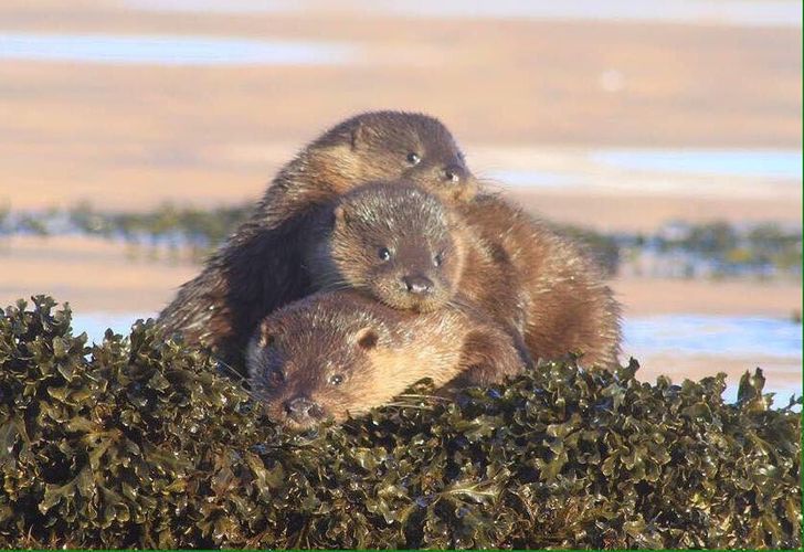 4d4c09568aba37428568c44104