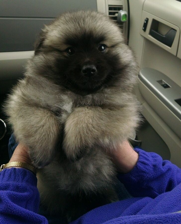 4d4cf45c0b8d1363b7d9877f69