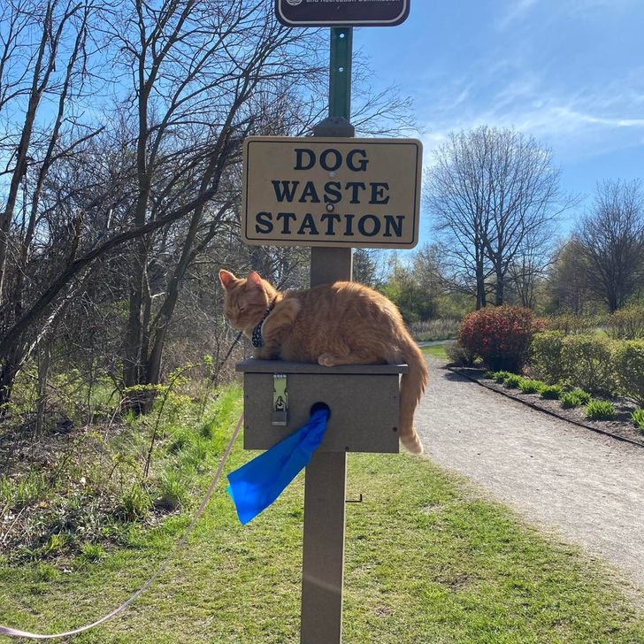 4d54b25a4aa4b5f4fa50595311