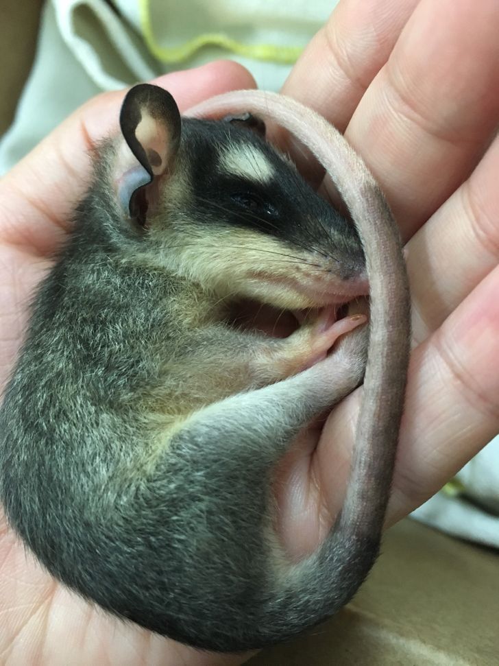 4d55a45db68f9a4cdedb5c62ba