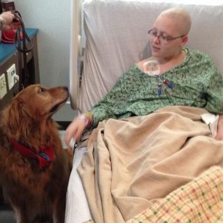 4d5a5e527a98990779e7e5a4f6