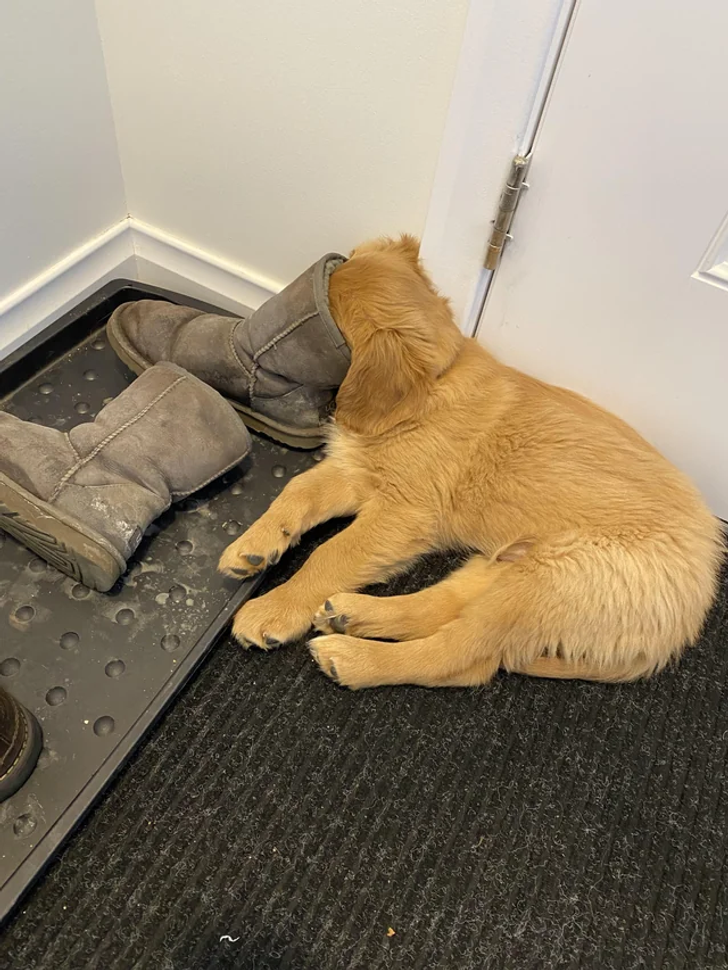 4d614a5bb995f026c72702607d