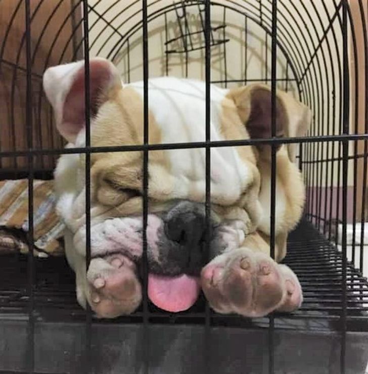 4d725f57e4aff2910d8902f1d9