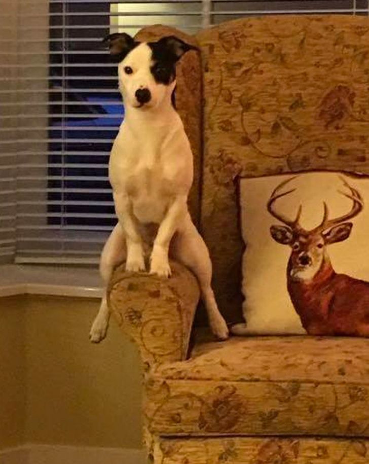 4d888852768c7374041c69ea0f