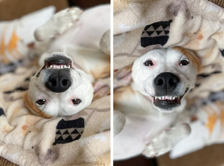 4d8c865da98fc6e90790bd4ab4