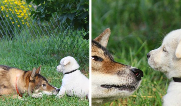 4d8d655a7899caa7b8ed742e5d