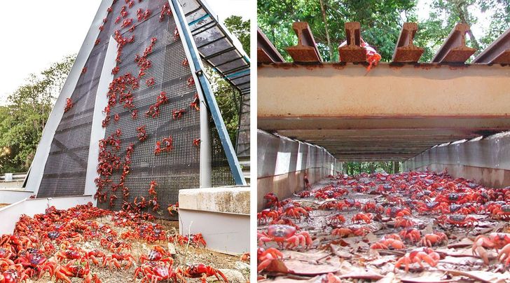 4d925554e993c236cbfb52a62b