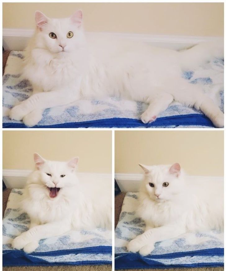 4d987653aaa41f127c1d95fa09