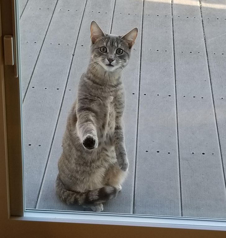 4d990451a0b58faaaec72cbc66