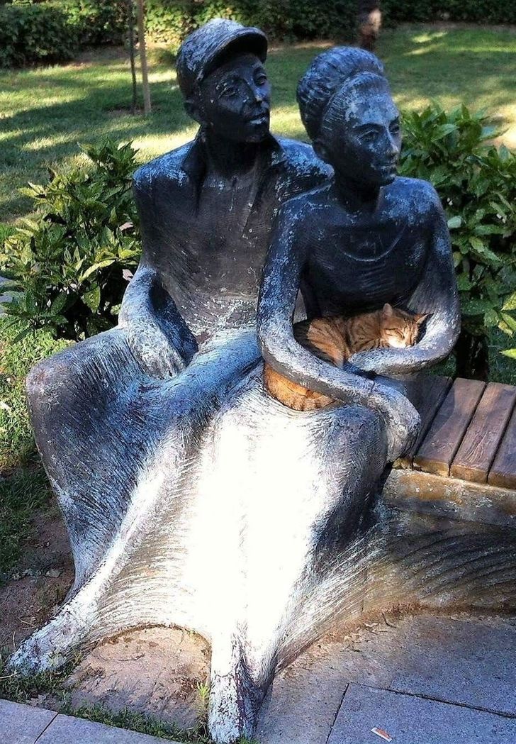 4d9c615ddf8222b844590d4d15