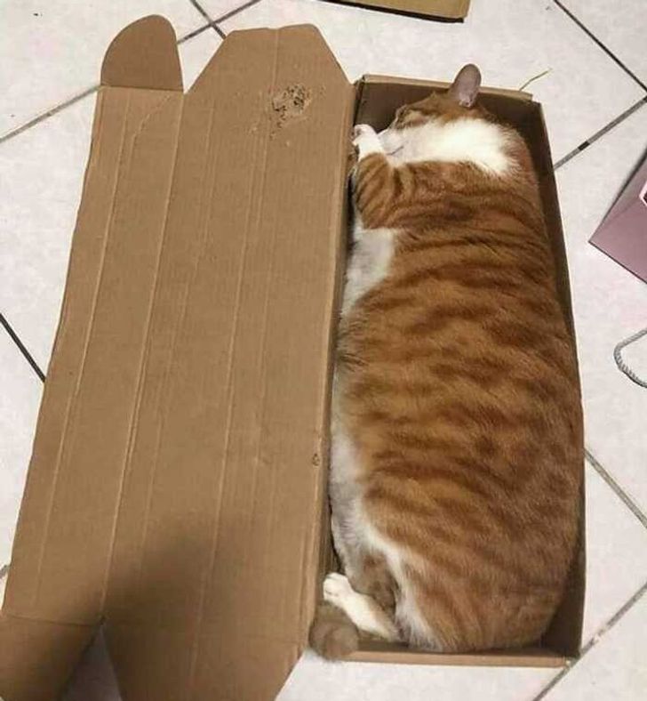 4d9cbd5ac485929c11eb9b8472