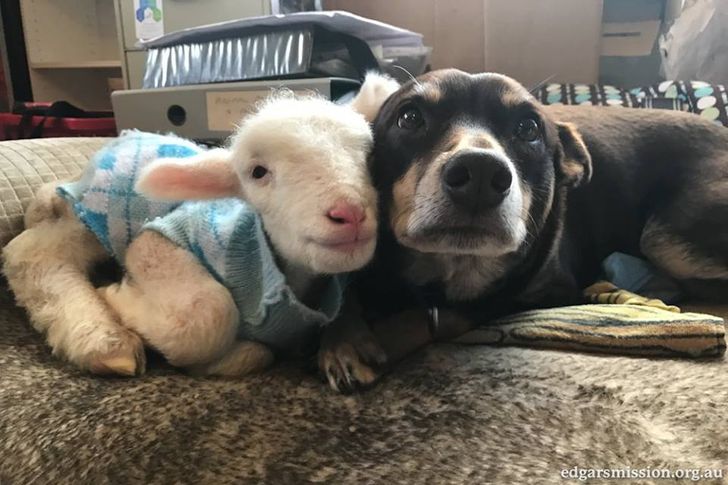 4da53c5cbaa48d6cbcc0145989