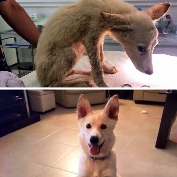 4da8e152e280f285d05a7a8ee1