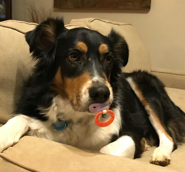 4dad8c5cd994280db729acab55