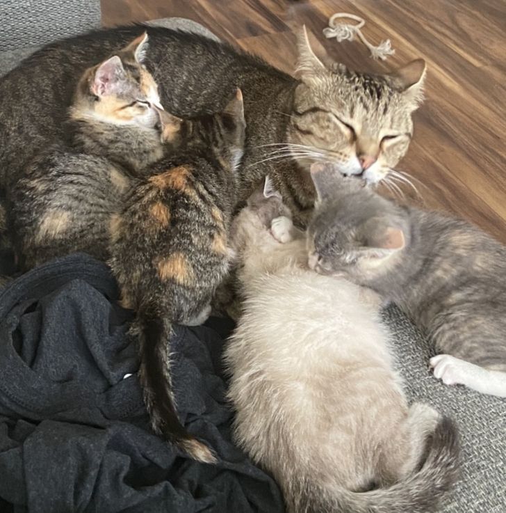 4db8c753d0883db5cf22891a34