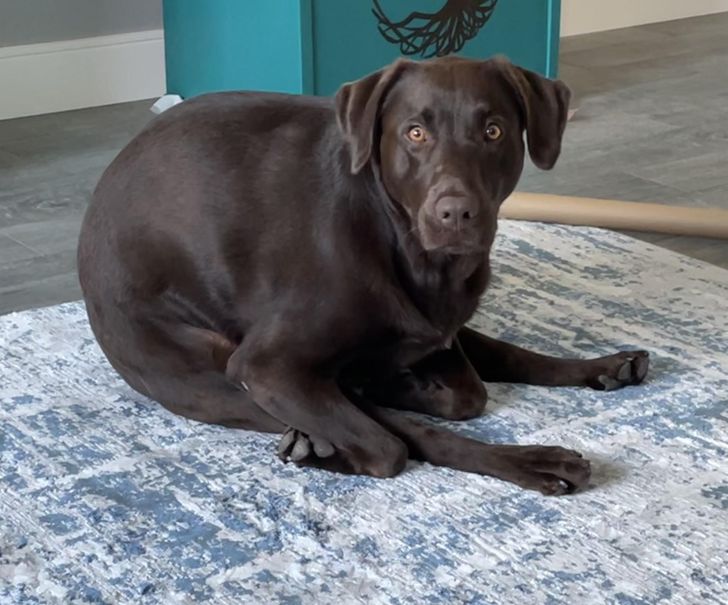 4dbf045c63a02d52b6585de056