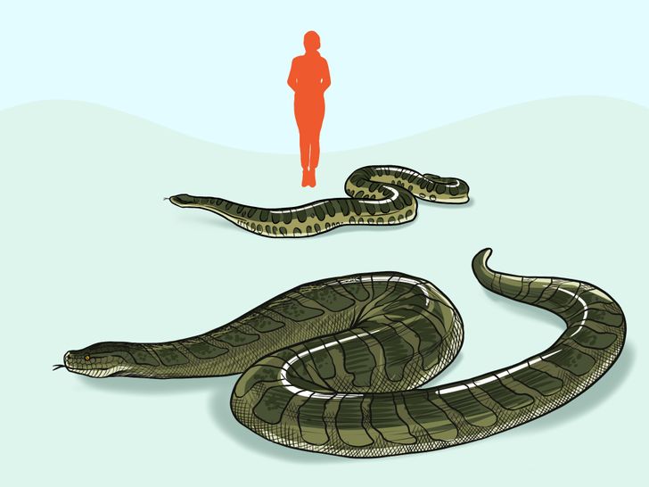 4dc53453cf96bb6db9c6746a46