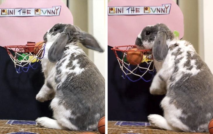 4dc95554a99bb3c1fc069bc0a0