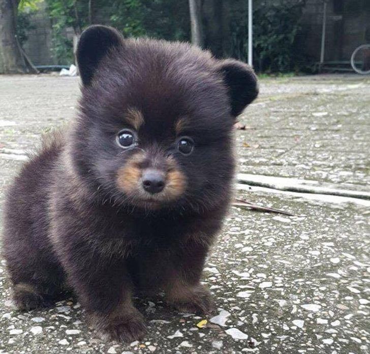 4dd5bc51e99448a99da8158f8e