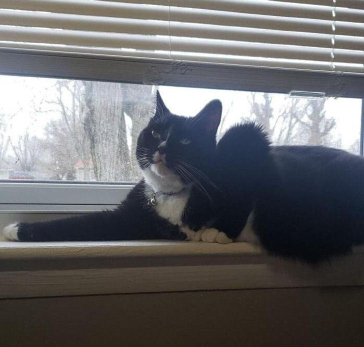 4ddaa85500a4144e1f1cfadbe9 4ddaa85500a4144e1f1cfadbe9