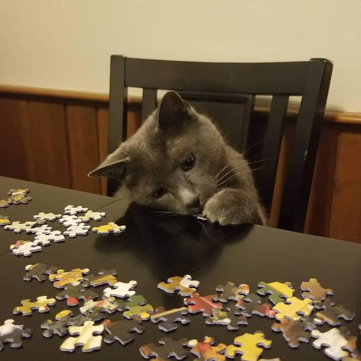 4de5645c328dbde3841473f81c