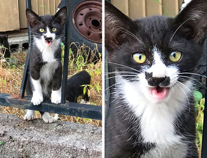 4de7c0529587b292a630b39183