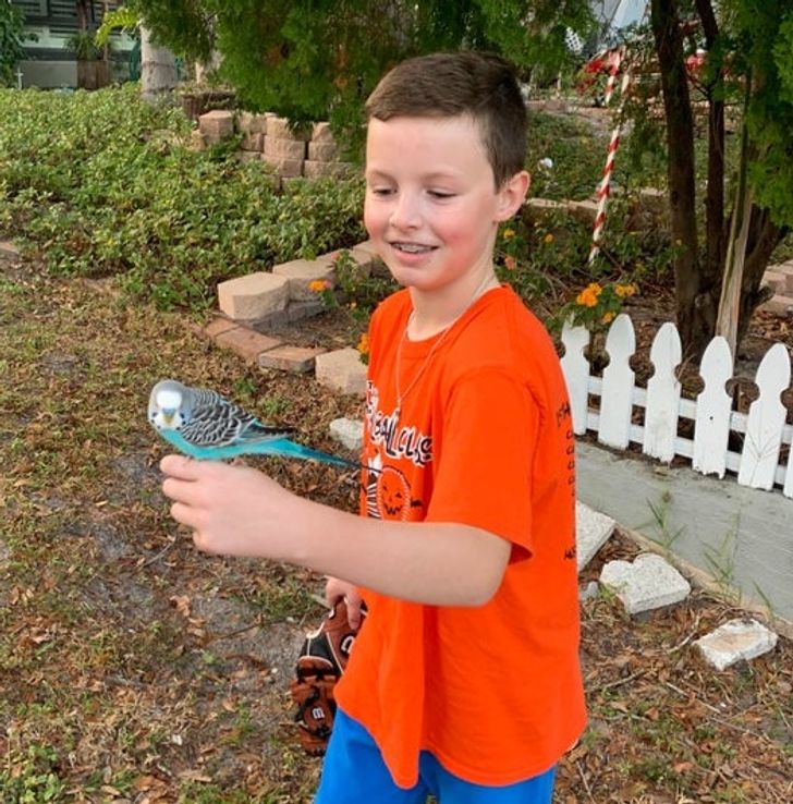 4defcc5c0289627c926102f952