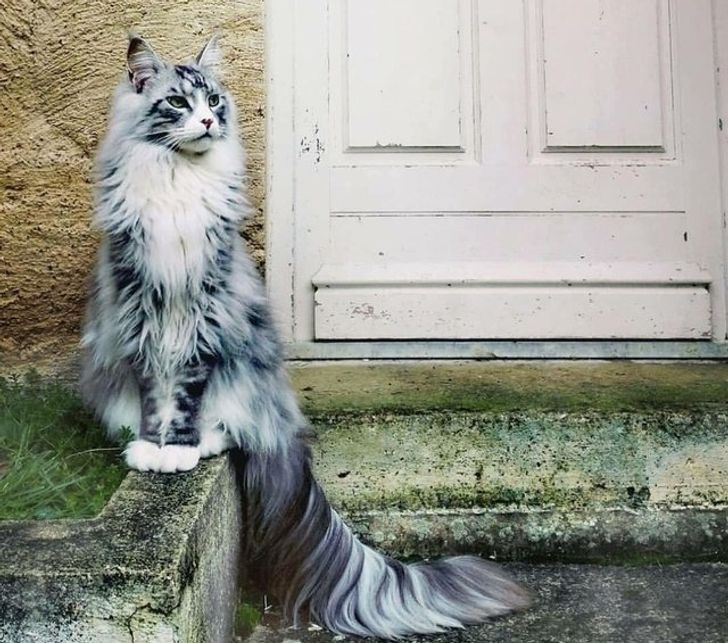 4dfd3a51f89719ee90239899cf 4dfd3a51f89719ee90239899cf