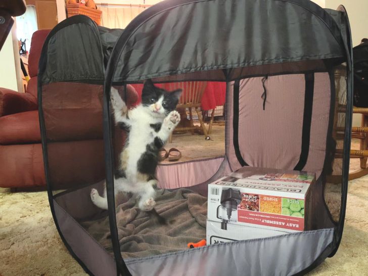 4e0f6c5f158f58f7e22a3ec635