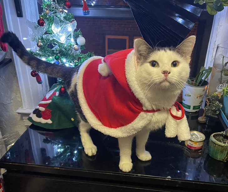 4e116c5b139b6686abb2118a7b